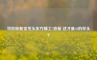 可控核聚变龙头东方精工7连板 这才是AI的尽头？