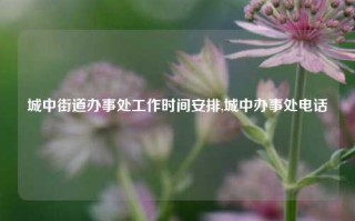 城中街道办事处工作时间安排,城中办事处电话