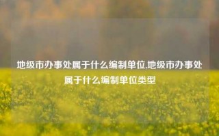 地级市办事处属于什么编制单位,地级市办事处属于什么编制单位类型