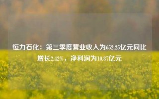 恒力石化：第三季度营业收入为652.25亿元同比增长2.42%，净利润为10.87亿元