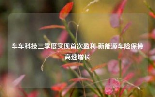 车车科技三季度实现首次盈利 新能源车险保持高速增长