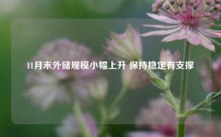 11月末外储规模小幅上升 保持稳定有支撑