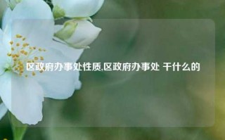 区政府办事处性质,区政府办事处 干什么的