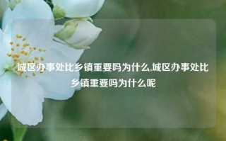 城区办事处比乡镇重要吗为什么,城区办事处比乡镇重要吗为什么呢