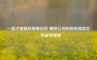 一揽子增量政策推出后 理财公司积极抢滩混合、权益等领域