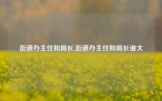 街道办主任和局长,街道办主任和局长谁大