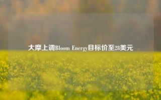 大摩上调Bloom Energy目标价至28美元