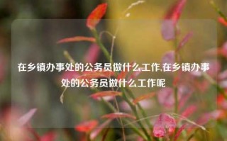 在乡镇办事处的公务员做什么工作,在乡镇办事处的公务员做什么工作呢