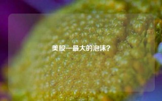 美股—最大的泡沫？