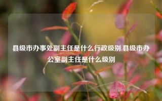 县级市办事处副主任是什么行政级别,县级市办公室副主任是什么级别