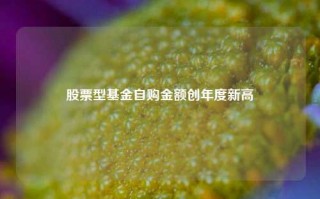 股票型基金自购金额创年度新高