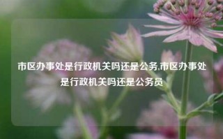 市区办事处是行政机关吗还是公务,市区办事处是行政机关吗还是公务员