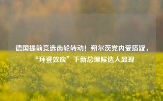 德国提前竞选齿轮转动！朔尔茨党内受质疑，“拜登效应”下新总理候选人显现