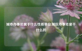 城市办事处属于什么性质单位,城区办事处是干什么的