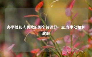 办事处和人民政府哪个待遇好一点,办事处和乡政府