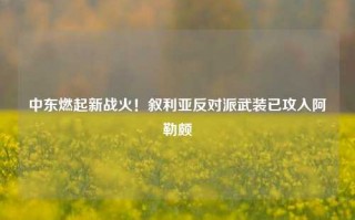 中东燃起新战火！叙利亚反对派武装已攻入阿勒颇