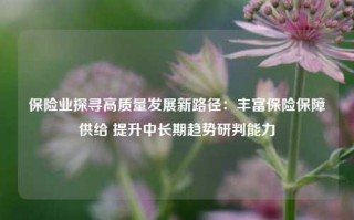 保险业探寻高质量发展新路径：丰富保险保障供给 提升中长期趋势研判能力