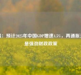 高盛：预计2025年中国GDP增速4.5%，再通胀关键是强劲财政政策