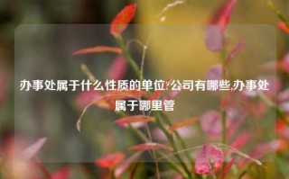 办事处属于什么性质的单位?公司有哪些,办事处属于哪里管