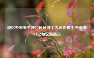 城区办事处主任和局长哪个大些呢知乎,办事处书记和区局局长