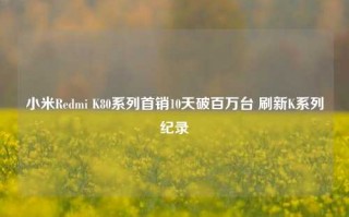 小米Redmi K80系列首销10天破百万台 刷新K系列纪录