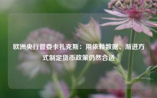 欧洲央行管委卡扎克斯：用依赖数据、渐进方式制定货币政策仍然合适