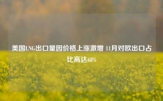 美国LNG出口量因价格上涨激增 11月对欧出口占比高达68%