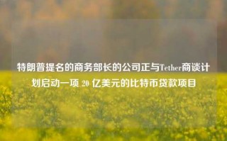 特朗普提名的商务部长的公司正与Tether商谈计划启动一项 20 亿美元的比特币贷款项目