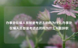 办事处在编人员都是考进去的吗为什么,办事处在编人员都是考进去的吗为什么不能辞职