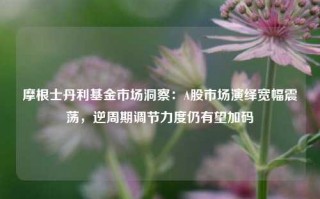 摩根士丹利基金市场洞察：A股市场演绎宽幅震荡，逆周期调节力度仍有望加码