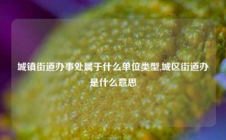 城镇街道办事处属于什么单位类型,城区街道办是什么意思