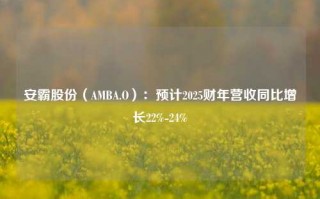 安霸股份（AMBA.O）：预计2025财年营收同比增长22%-24%