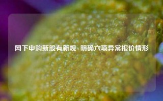 网下申购新股有新规  明确六项异常报价情形