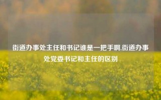 街道办事处主任和书记谁是一把手啊,街道办事处党委书记和主任的区别