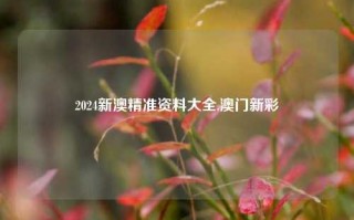 2024新澳精准资料大全,澳门新彩