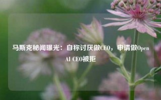 马斯克秘闻曝光：自称讨厌做CEO，申请做OpenAI CEO被拒