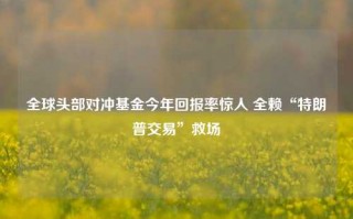 全球头部对冲基金今年回报率惊人 全赖“特朗普交易”救场