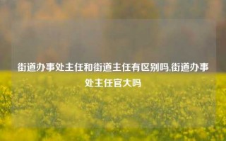 街道办事处主任和街道主任有区别吗,街道办事处主任官大吗