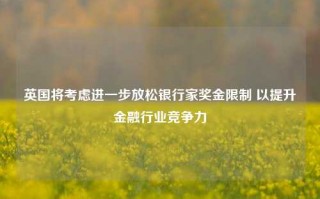 英国将考虑进一步放松银行家奖金限制 以提升金融行业竞争力