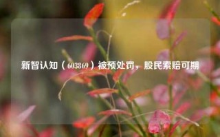 新智认知（603869）被预处罚，股民索赔可期