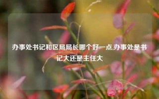 办事处书记和区局局长哪个好一点,办事处是书记大还是主任大