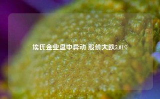 埃氏金业盘中异动 股价大跌5.01%