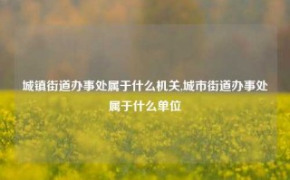 城镇街道办事处属于什么机关,城市街道办事处属于什么单位