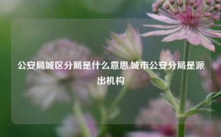 公安局城区分局是什么意思,城市公安分局是派出机构