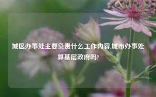 城区办事处主要负责什么工作内容,城市办事处算基层政府吗?