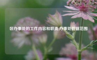 区办事处的工作内容和职责,办事处管辖范围