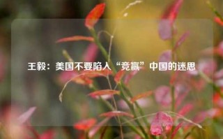 王毅：美国不要陷入“竞赢”中国的迷思