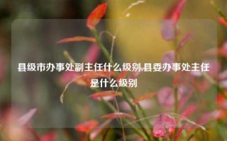 县级市办事处副主任什么级别,县委办事处主任是什么级别