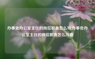 办事处办公室主任的岗位职责怎么写,办事处办公室主任的岗位职责怎么写啊