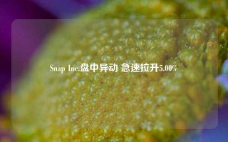 Snap Inc.盘中异动 急速拉升5.00%